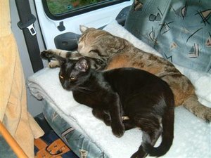 DSCF0027mini.JPG DSCF0027mini.JPG