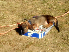 DSCF0035.JPG DSCF0035.JPG