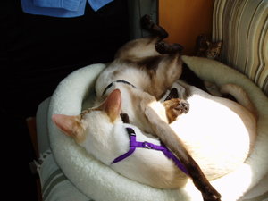 Bild 001.jpg Bild 001.jpg