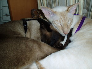 Bild 004.jpg Bild 004.jpg