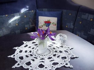 Första blommorna 2007.JPG