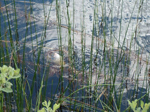 DSCF0022.JPG DSCF0022.JPG