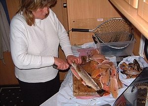 DSCF0010.JPG DSCF0010.JPG