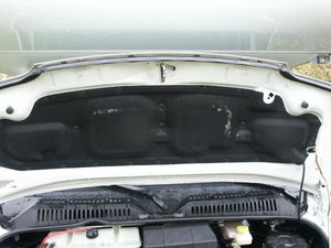 PICT0378.JPG