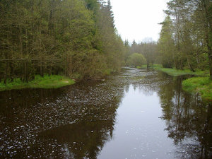 DSCF0006.JPG DSCF0006.JPG