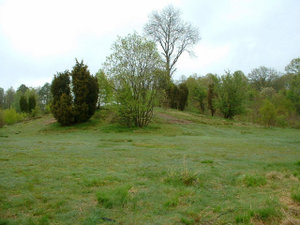 DSCF0013.JPG DSCF0013.JPG