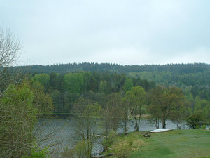 DSCF0017.JPG DSCF0017.JPG