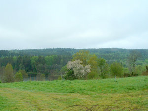 DSCF0020.JPG DSCF0020.JPG