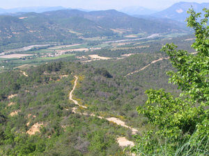 1 (19).jpg 1 (19).jpg