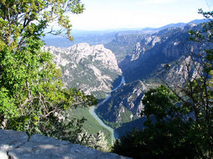 1 (49).jpg 1 (49).jpg