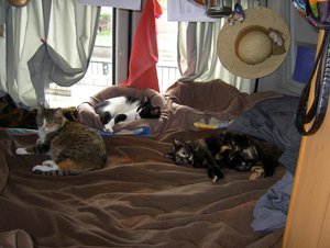 3 sönmtutor.JPG 3 sönmtutor.JPG