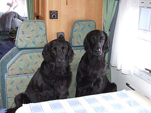 M o E till bords.jpg