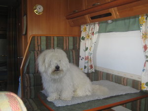 Semester 2006 (123) Izor mitt på bordet.jpg