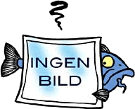 ingenbild.gif