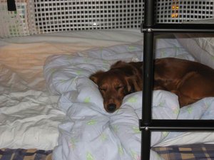 Resize of IMG_5103.JPG