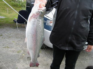 testIMG_0653.jpg testIMG_0653.jpg