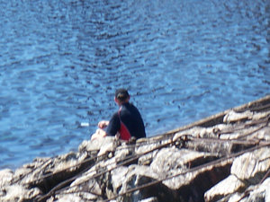 100_0060.JPG 100_0060.JPG