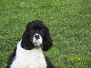 100_0210.JPG 100_0210.JPG