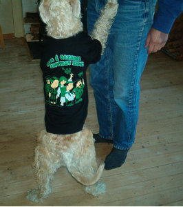 IM000322.JPG IM000322.JPG