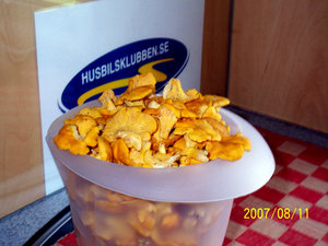 100_0367.JPG 100_0367.JPG