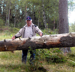 wobbler1.jpg wobbler1.jpg