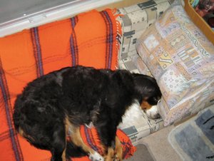 DSC04949edit.jpg DSC04949edit.jpg