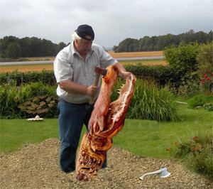 wobblertillv.jpg wobblertillv.jpg