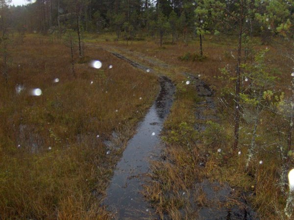 Bilder2007-2008Tyskland 264.jpg