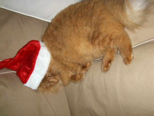 Bilder2007-2008 067.jpg