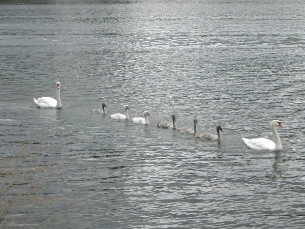 DSCN4927.JPG DSCN4927.JPG