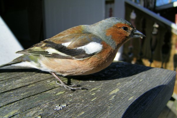 090404 011.jpg 090404 011.jpg