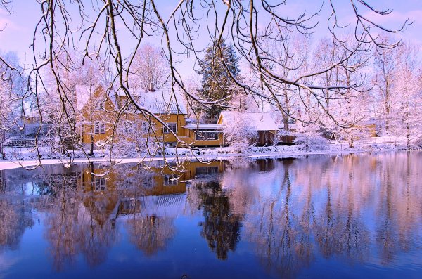 015_hf.jpg 015_hf.jpg