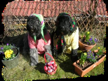 Glad Påsk.jpg Glad Påsk.jpg