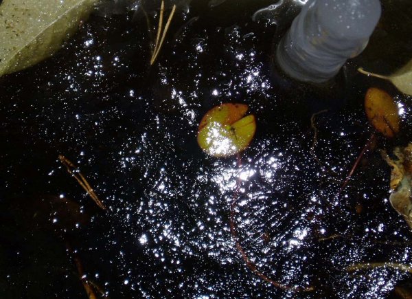 En reflektion.jpg En reflektion.jpg