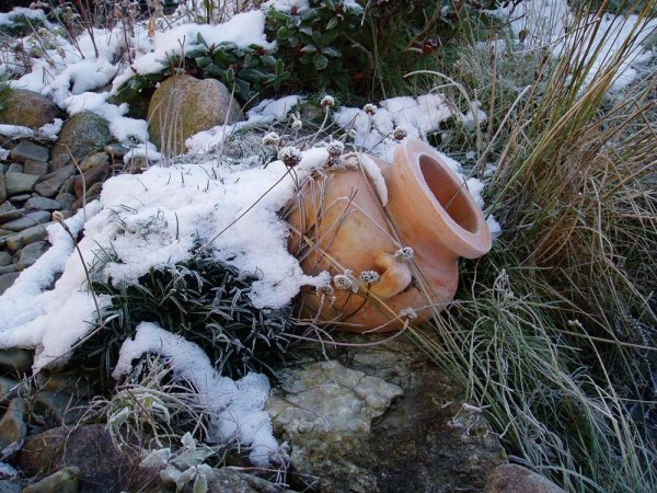 Pin_kruka.jpg Pin_kruka.jpg