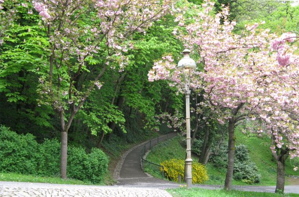 Schlossberg Graz.jpg