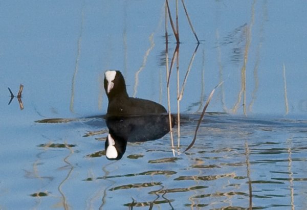 Kopia av IMG_5775.jpg