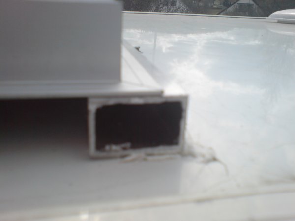 DSC00407.JPG DSC00407.JPG