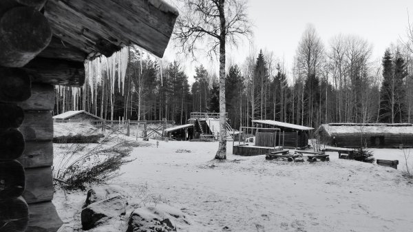 20170102_140551 (1).jpg