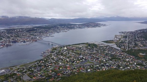 IMG_4562 .jpg IMG_4562 .jpg