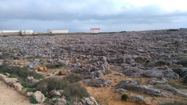 DSC_0298.JPG DSC_0298.JPG