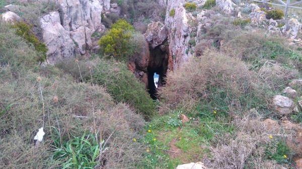 DSC_0313.JPG DSC_0313.JPG