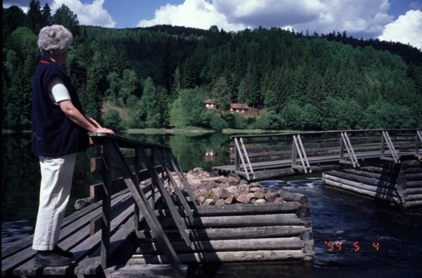 Våren 2000-003.jpg Våren 2000-003.jpg