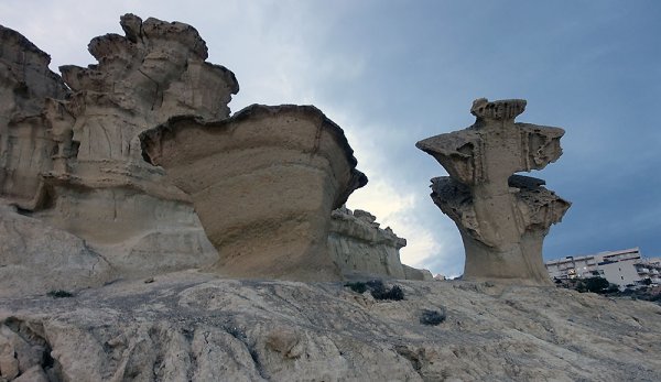 4 miljoner år.jpg 4 miljoner år.jpg