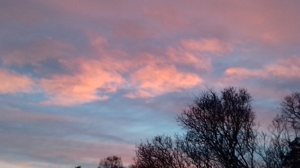 20170113_153634.jpg 20170113_153634.jpg