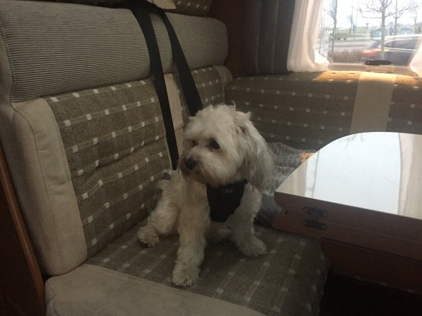 2016-12-31 15.14.23.jpg