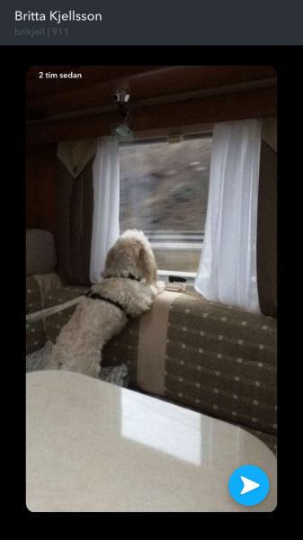 2016-12-31 17.05.46.png