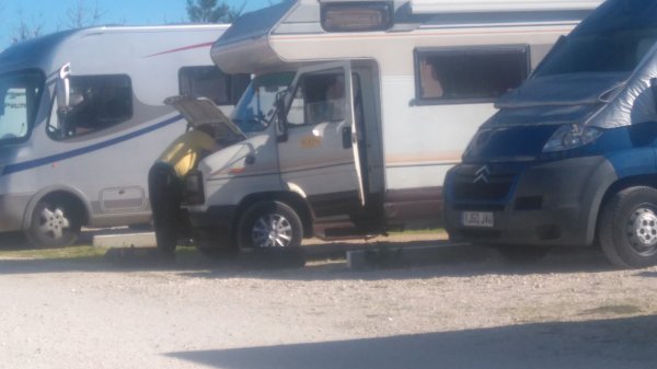 DSC_0351.JPG DSC_0351.JPG