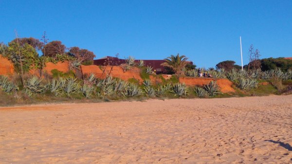 DSC_0369.JPG DSC_0369.JPG