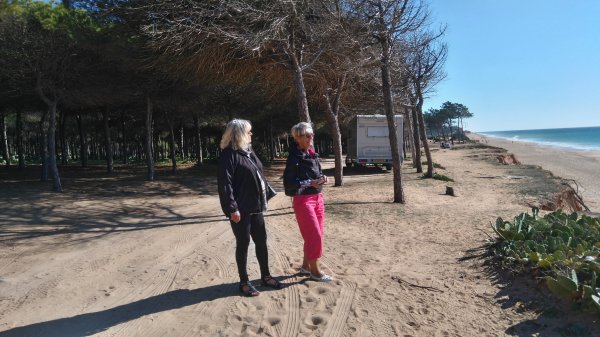 DSC_0380.JPG DSC_0380.JPG